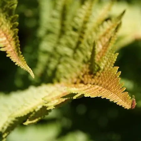 Les Combres, Nature Avec Piscine Chauffee Holiday home *